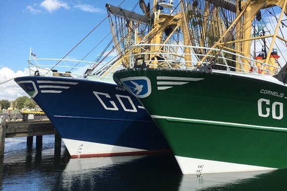 van Beelen ground trawls