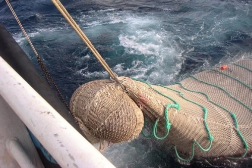 netting-and-D12-pelagic-trawling